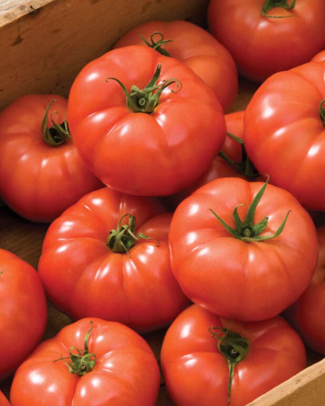 Tomato, Beefsteak, Red